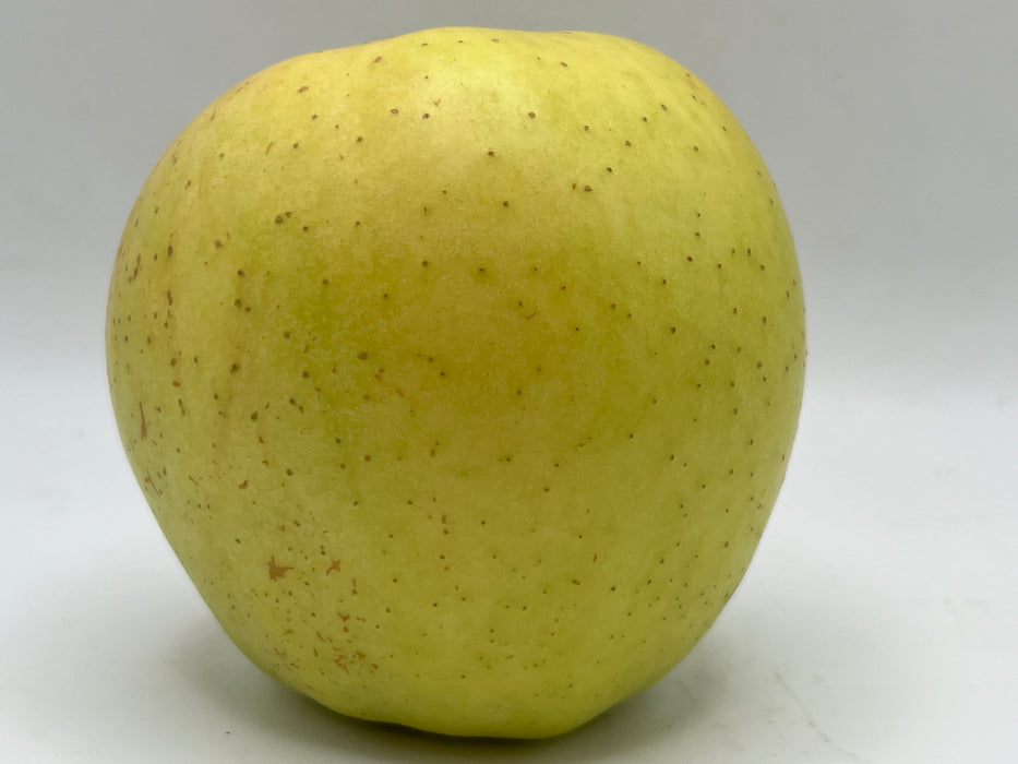 Golden Delicious Apple Trees