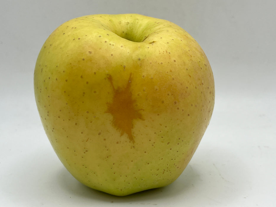 Golden Delicious Apple Trees