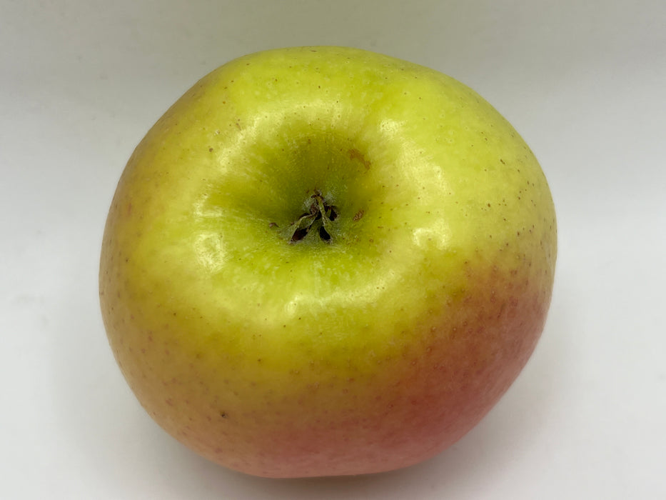 Golden Delicious Apple Trees