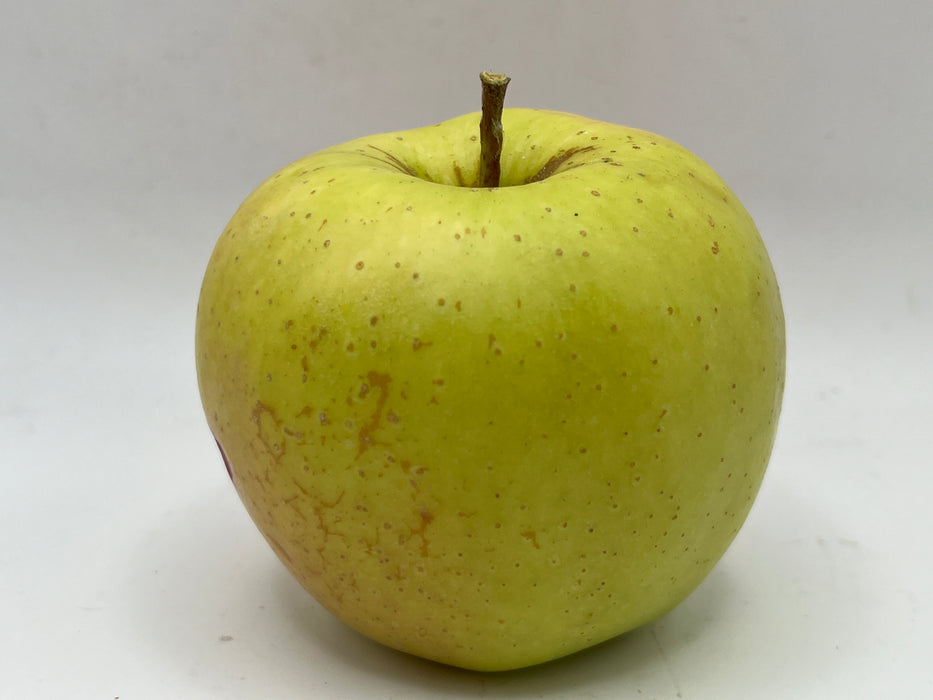 Golden Delicious Apple Trees