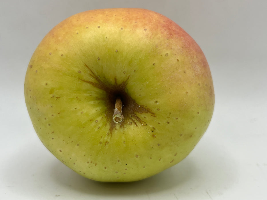 Golden Delicious Apple Trees