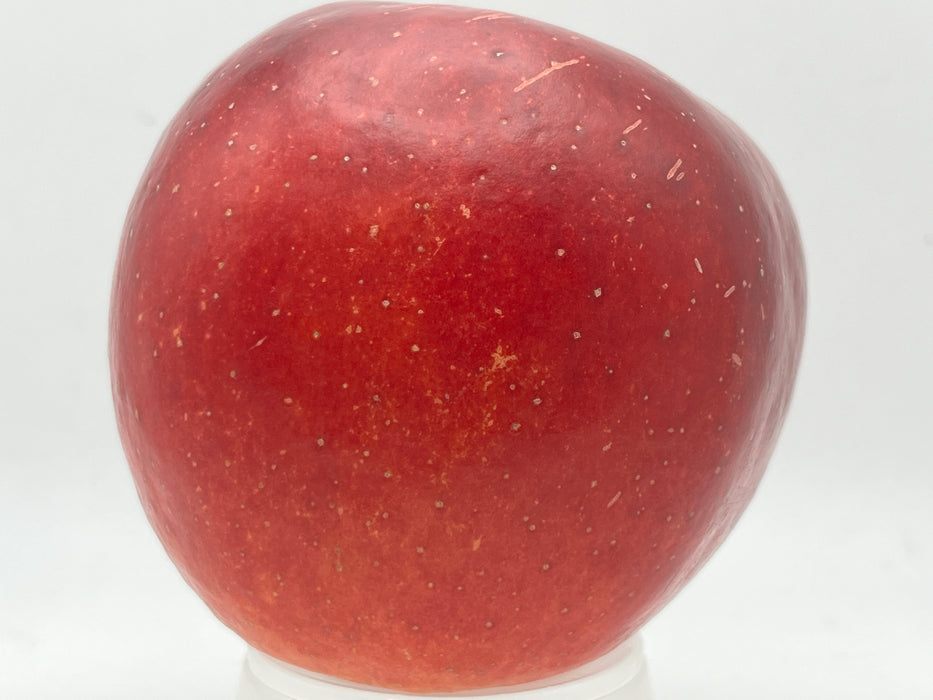 Melrose Apple Trees