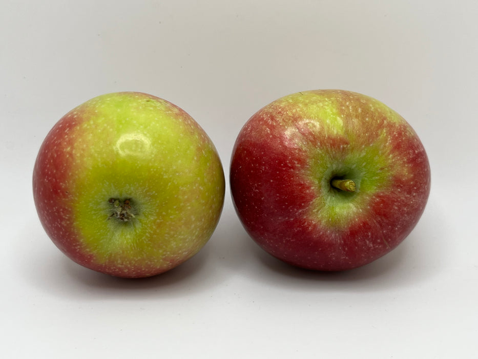 Liberty Apple Trees