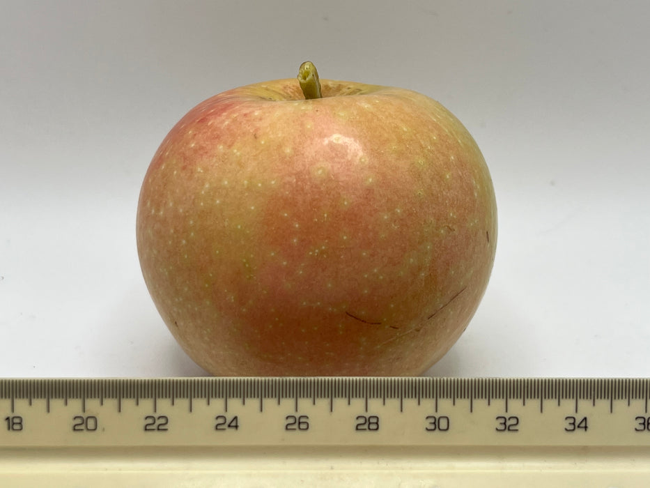 Pink Pearl Apple Trees