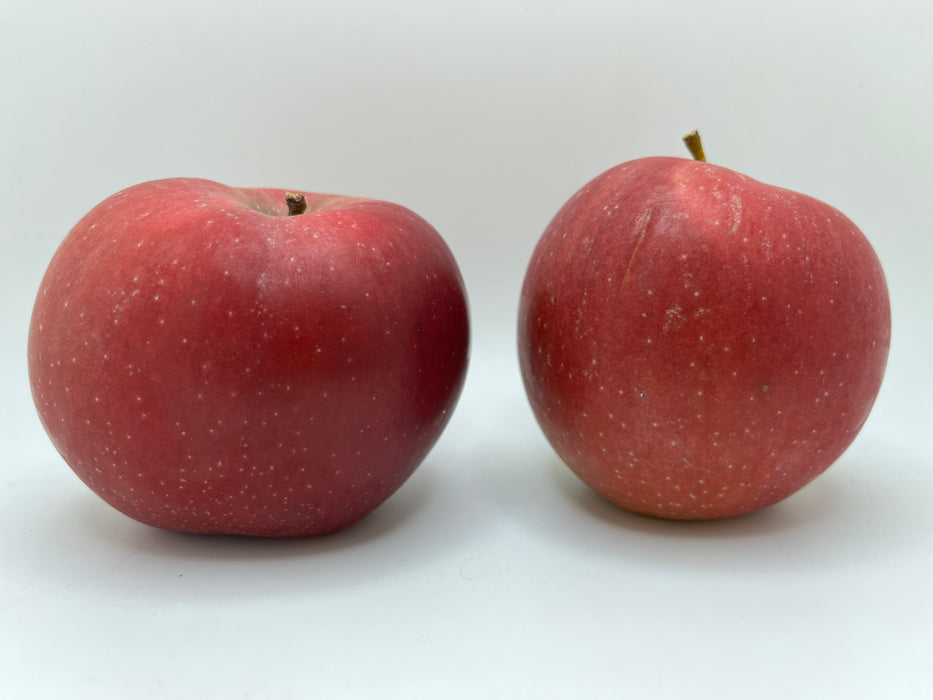 Fortune Apple Trees