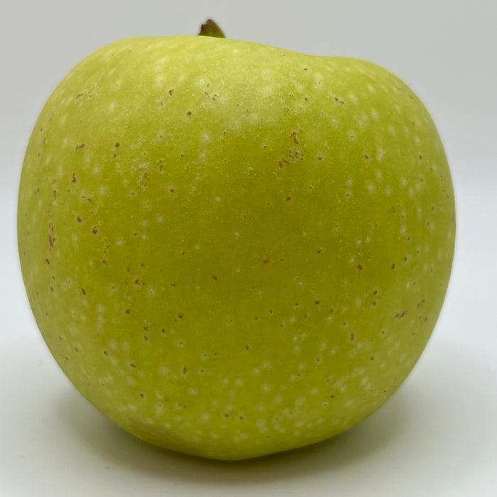 Grimes Golden Apple Trees