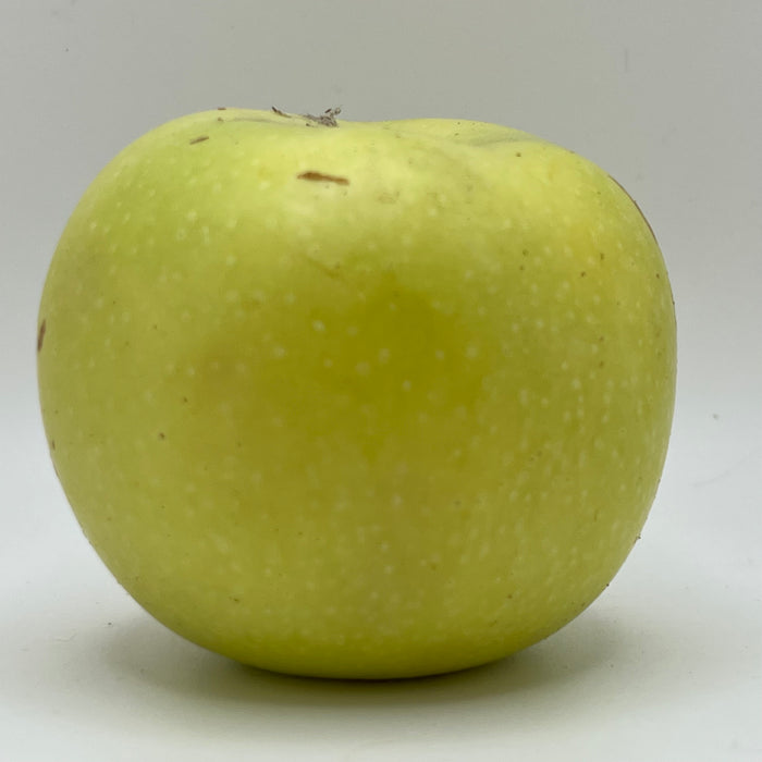 Grimes Golden Apple Scionwood