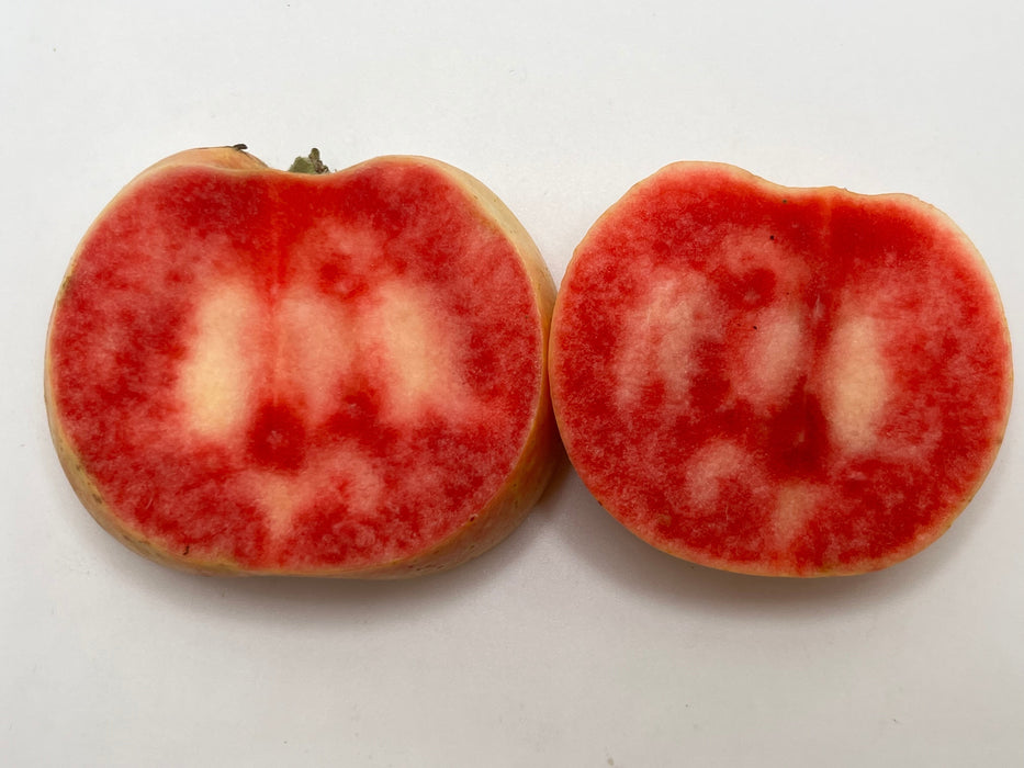 A vertical cross section of a Pink Pearl apple featuring its red colored flesh