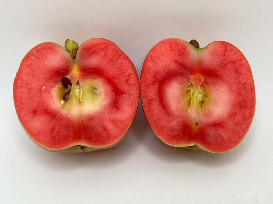 a vertical cross section of an apple with red flesh