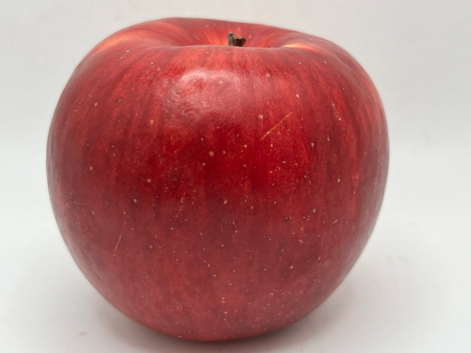 Tsugaru Apple Tree