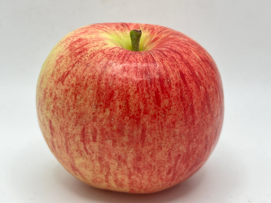 Deluxe Backyard Orchard Starter Collection