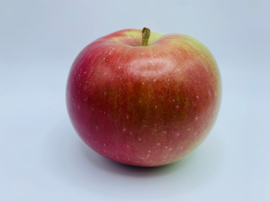 Spartan Apple Scionwood