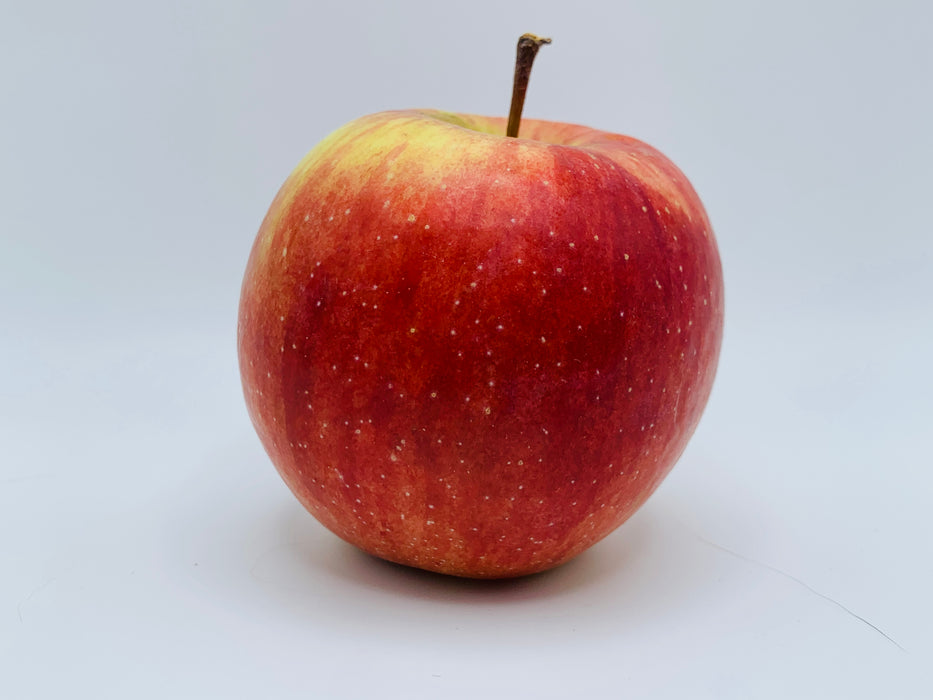 Empire Apple Scionwood