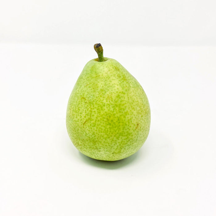 Anjou Pear with light green skin and chartreuse lenticels and a brown stem.