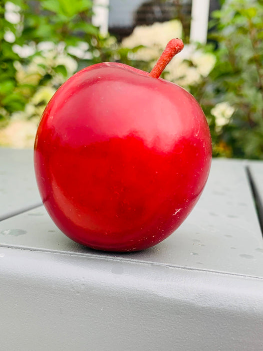 McIntosh Apple Tree
