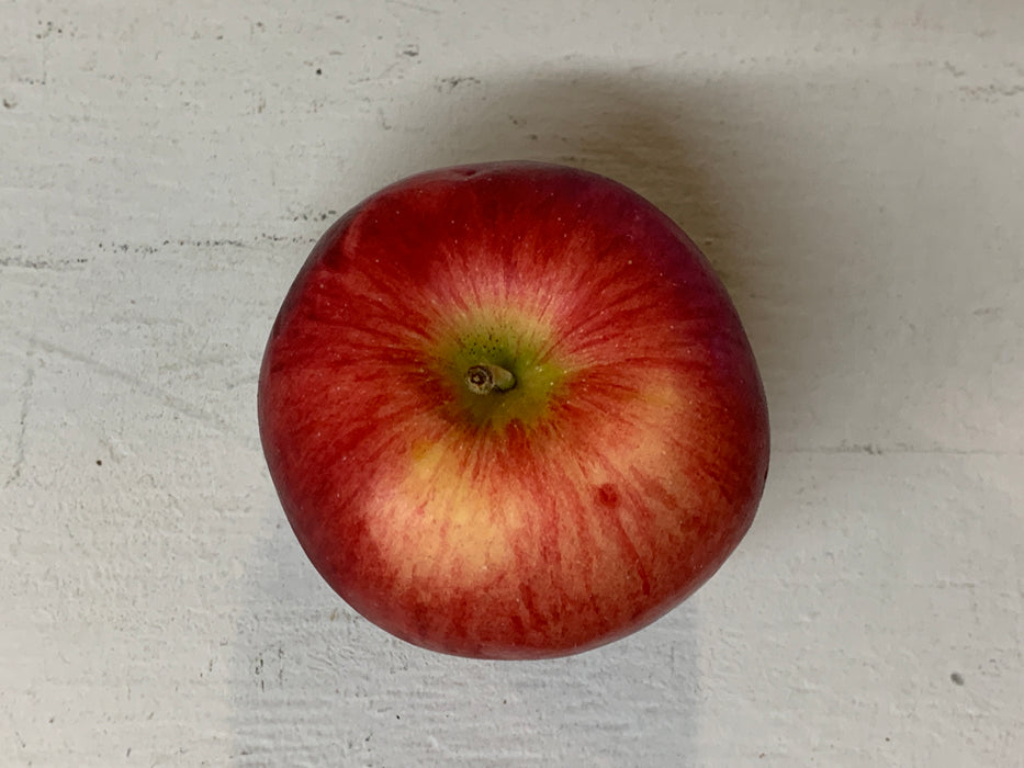 Redfree Apple Tree
