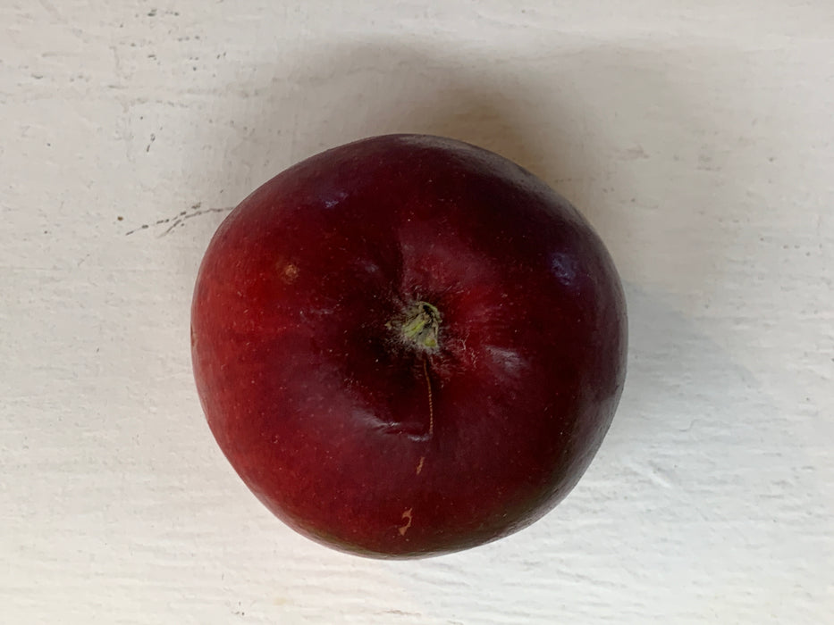 Redfree Apple Tree