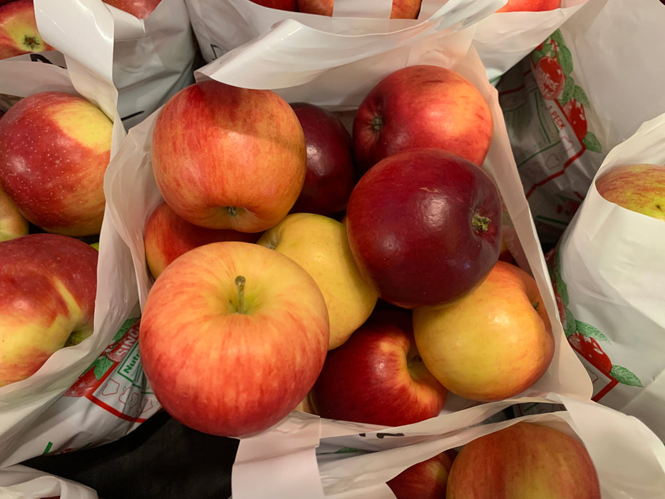 Redfree Apple Tree