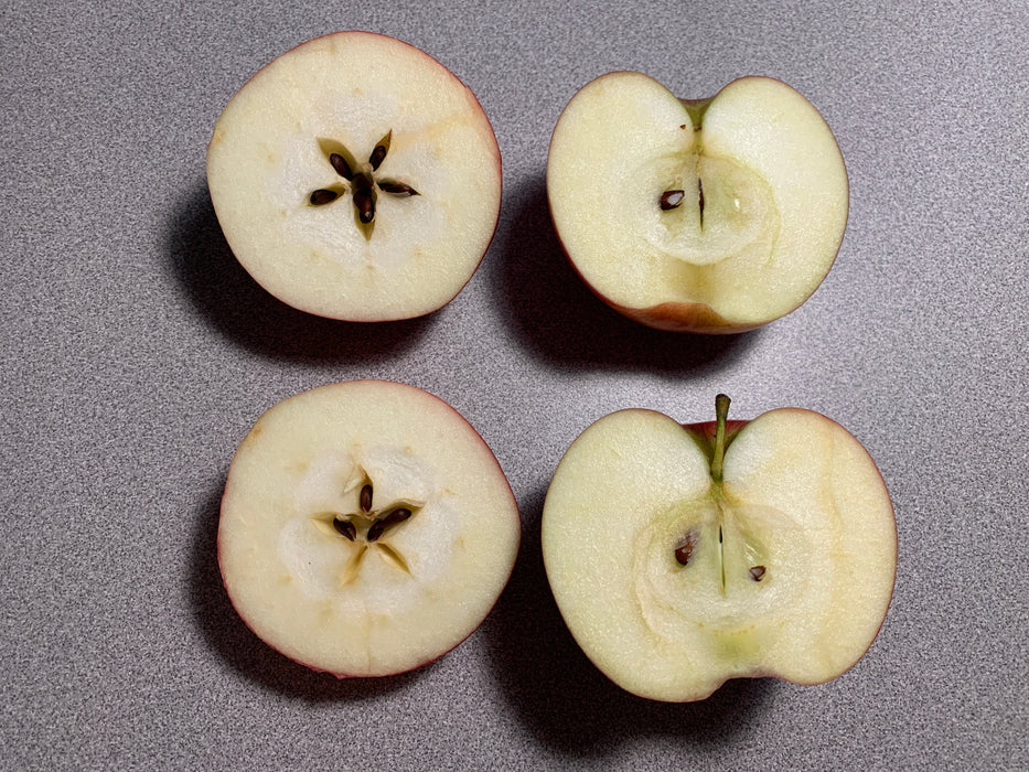 Redfree Apple Tree