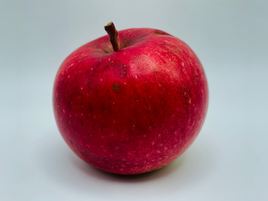 Wealthy Apple Tree
