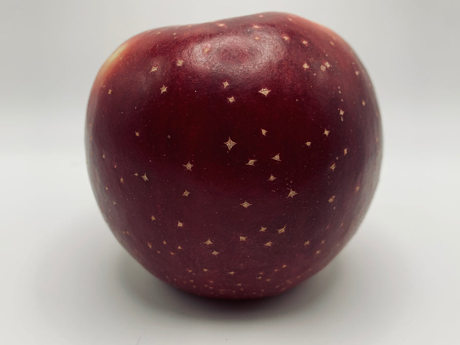 Haralson Apple Trees