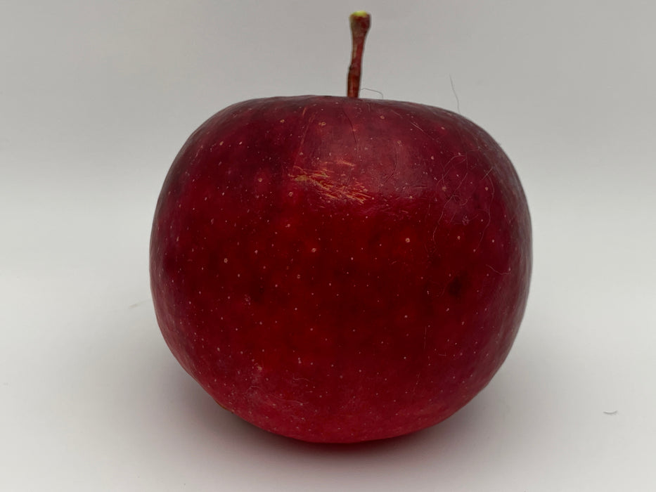 Hardy Cumberland Apple