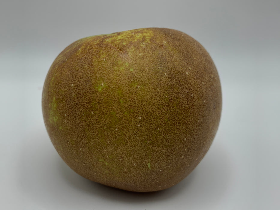 Golden Russet Apple Trees