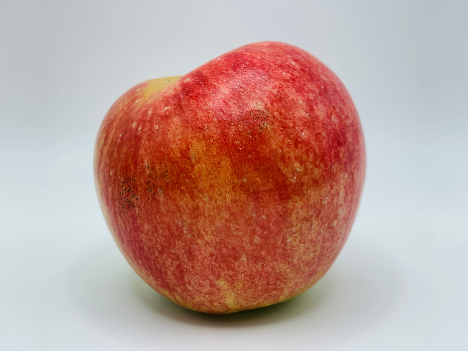 Freedom Apple Trees