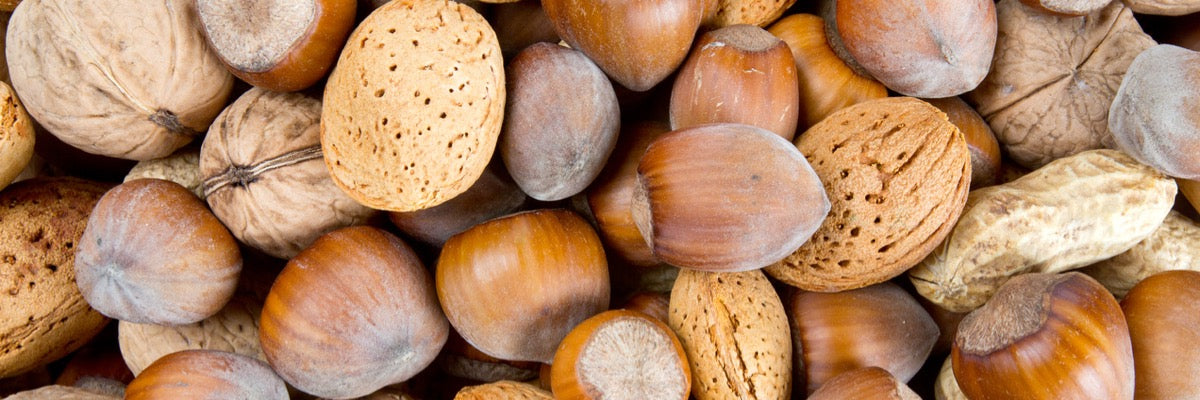 Types Of Tree Nuts