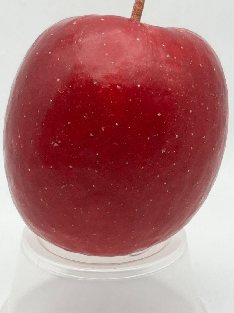 Story®  Inored Apple Tree