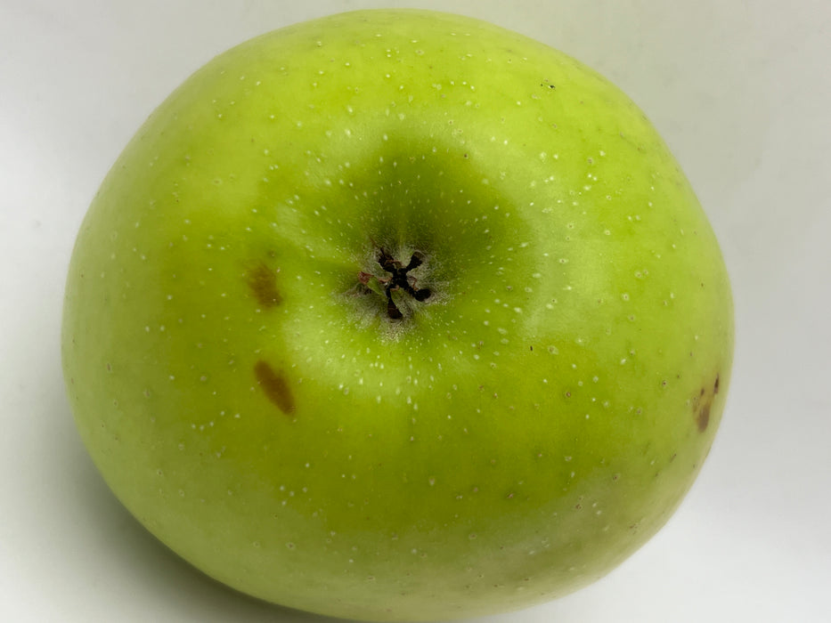 Northwest Greening Apple