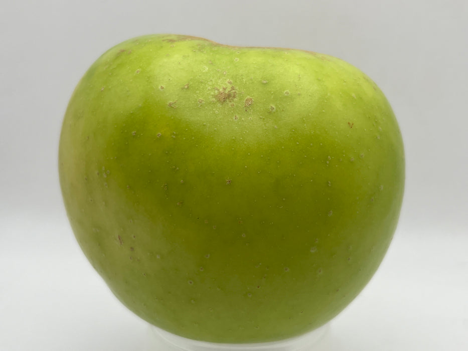 Northwest Greening Apple