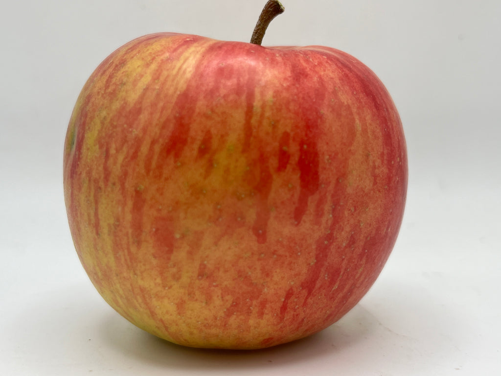 Apple Trees — Roots to Fruits Nursery