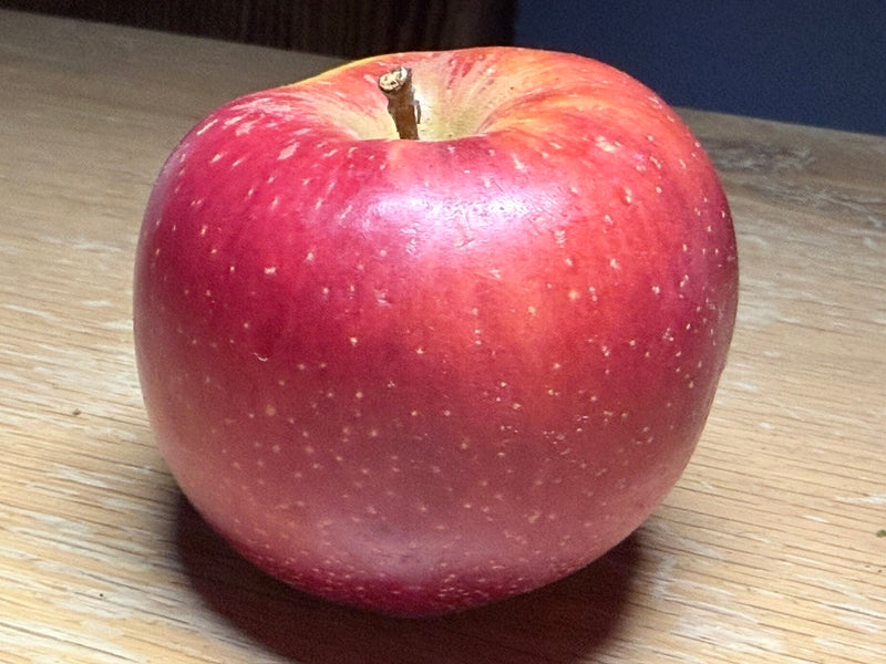 Esopus Spitzenburg Apple Trees