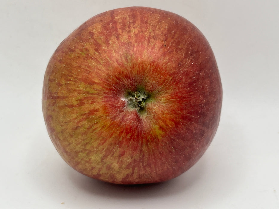 Dabinett Apple