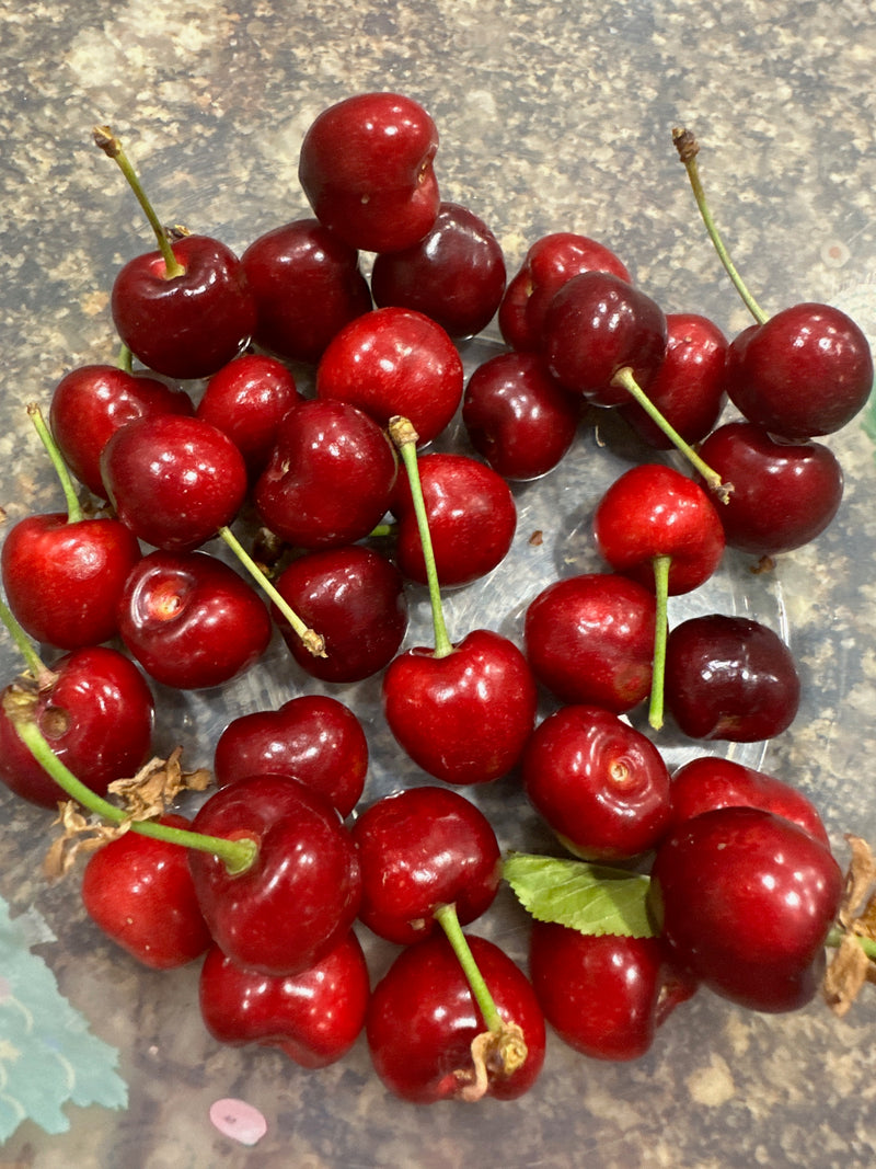 Sweet Cherry Pack - 4 Trees