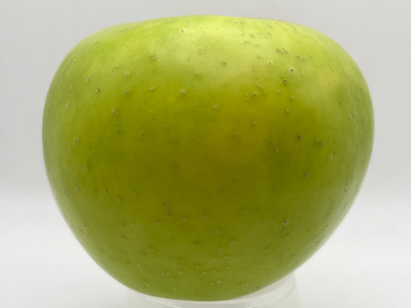 Northwest Greening Apple Trees