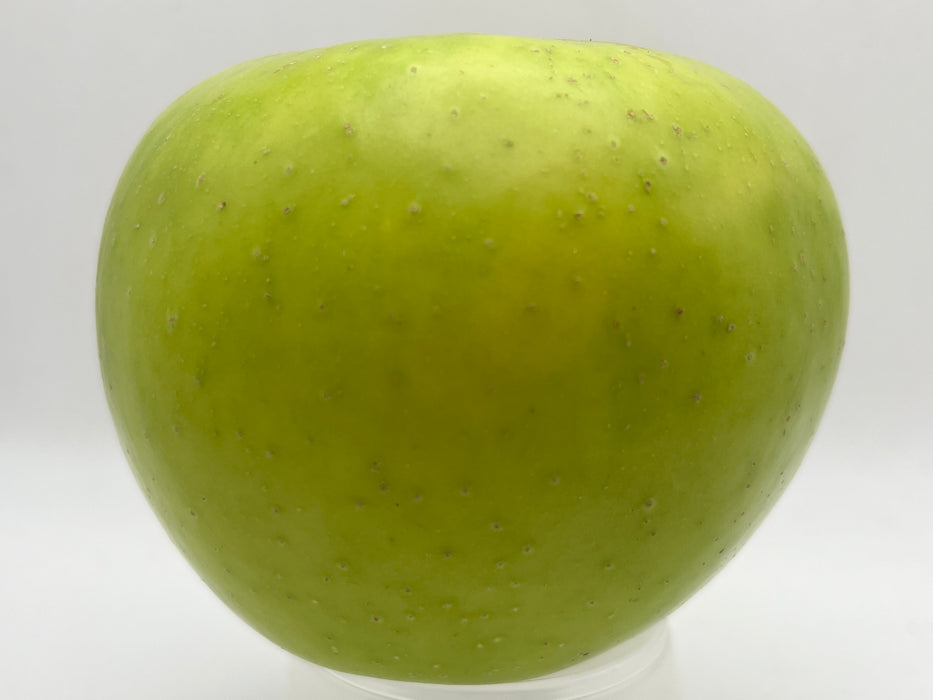 Northwest Greening Apple