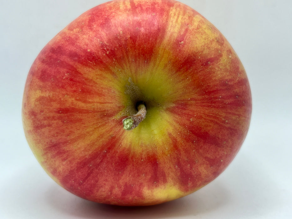 Creston Apple