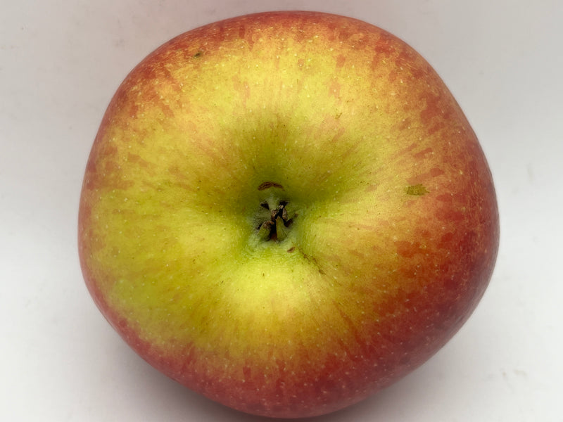 Fireside Apple Trees