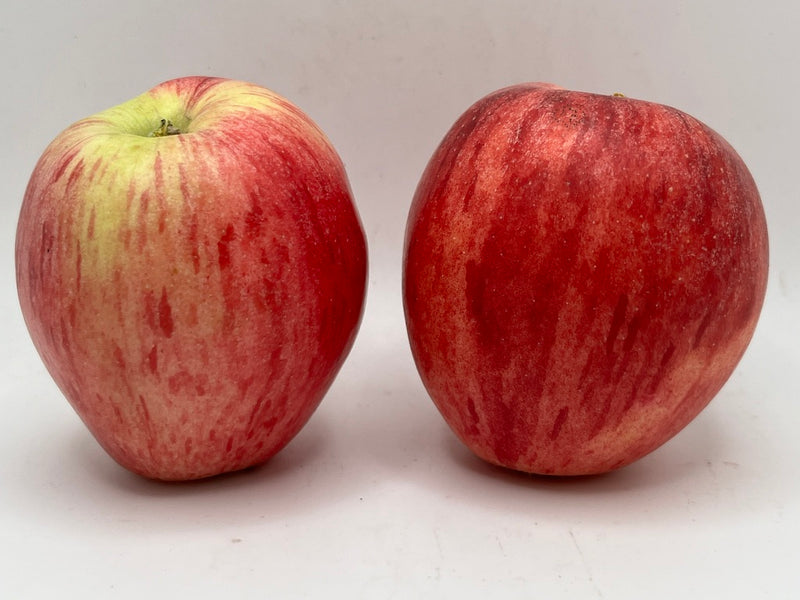 Early Strawberry Apple Scionwood