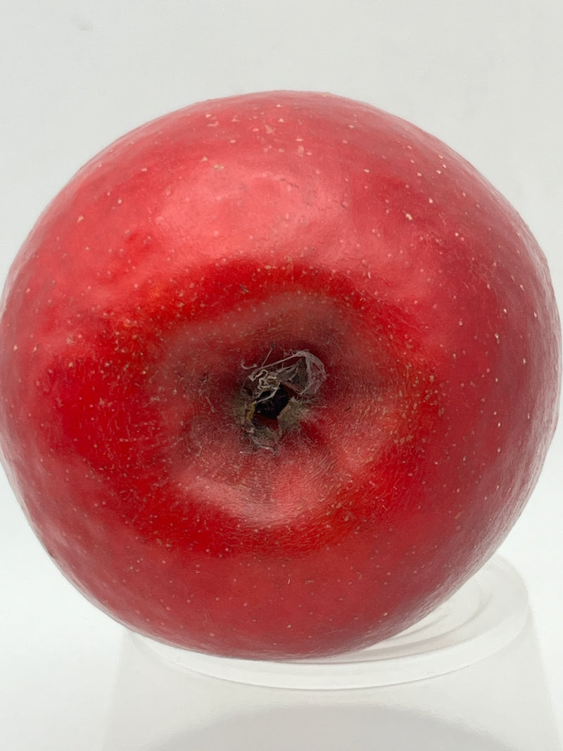 Story®  Inored Apple Tree