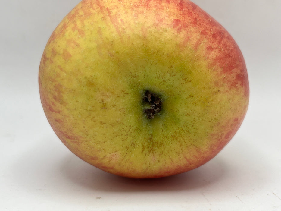 Creston Apple