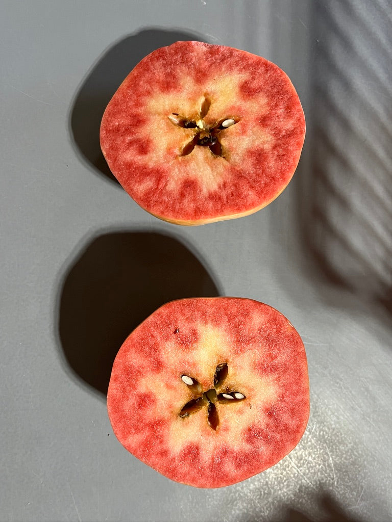 Pink Pearl Apple Scionwood