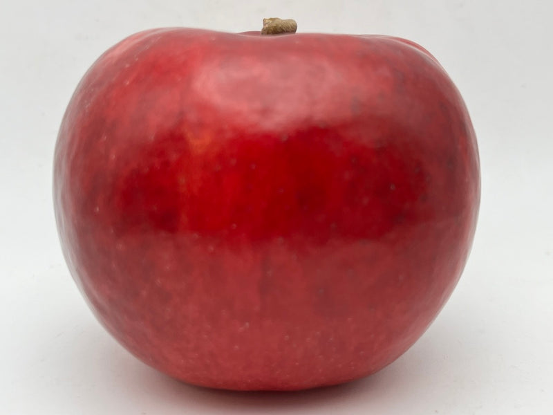 Black Twig Scionwood