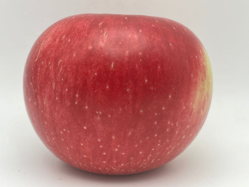 Wealthy Apple Scionwood