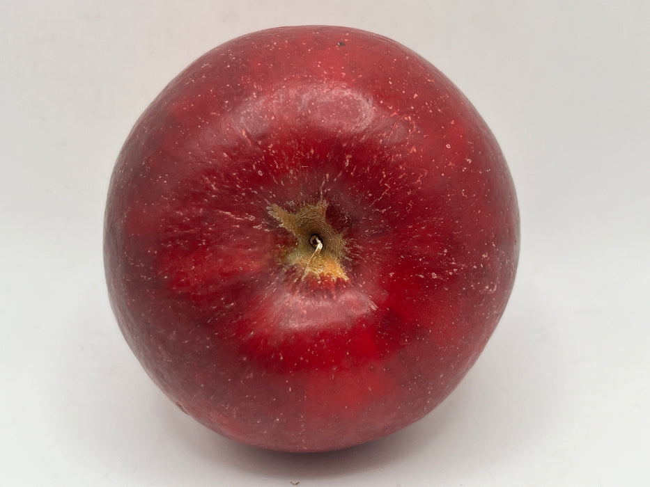 CrimsonCrisp® Apple Tree