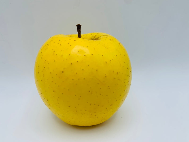 Golden Supreme Apple Scionwood