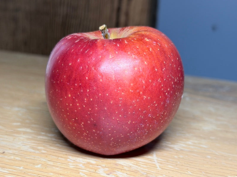 Esopus Spitzenburg Apple Trees
