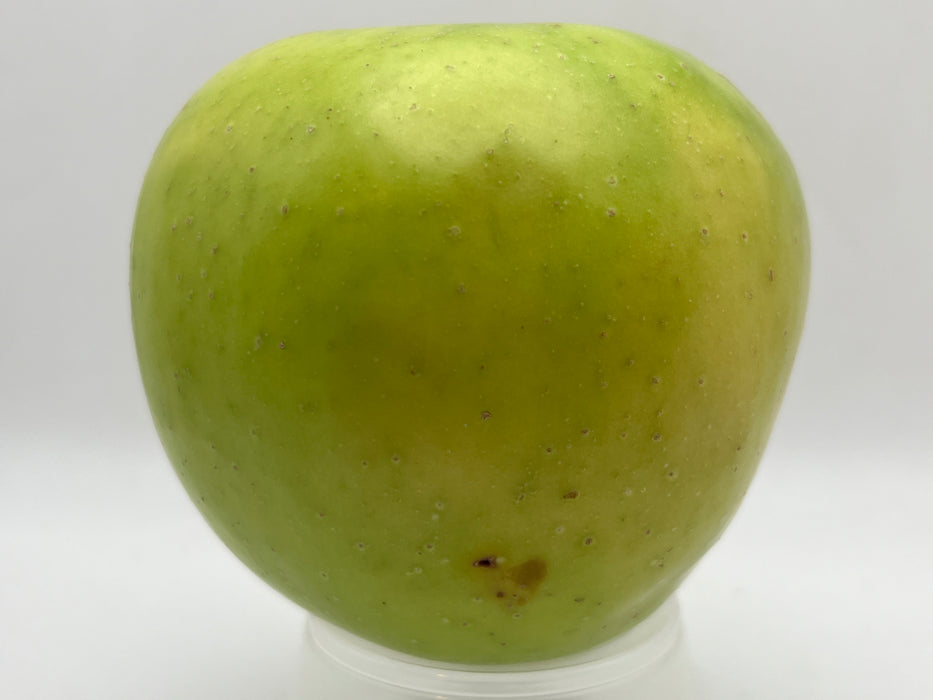 Northwest Greening Apple